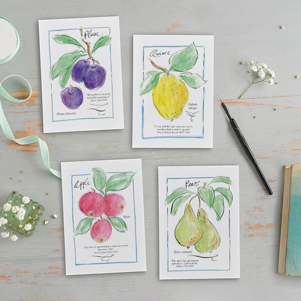 'My Allotment' Correspondence Set