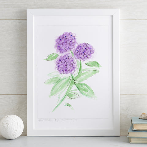 'Hydrangea Macrophylia' Original Watercolour Painting