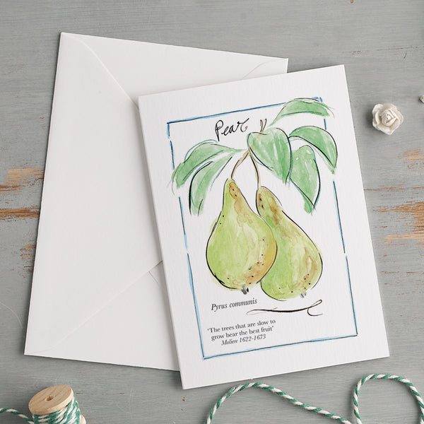 'My Allotment' Correspondence Set