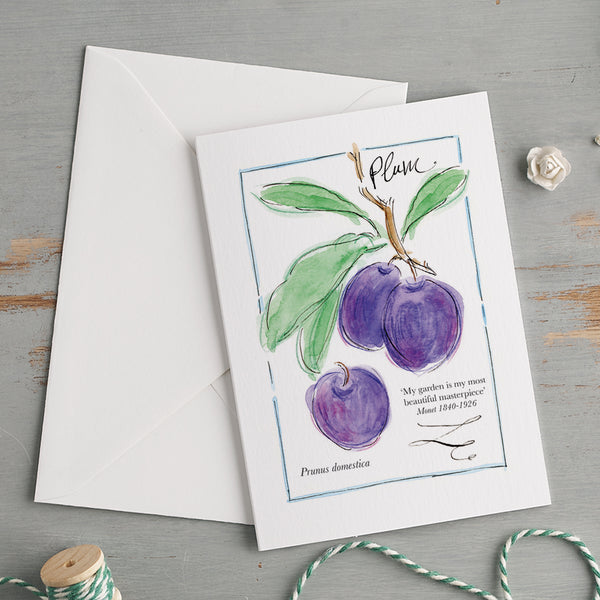 'My Allotment' Correspondence Set