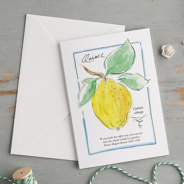 'My Allotment' Correspondence Set