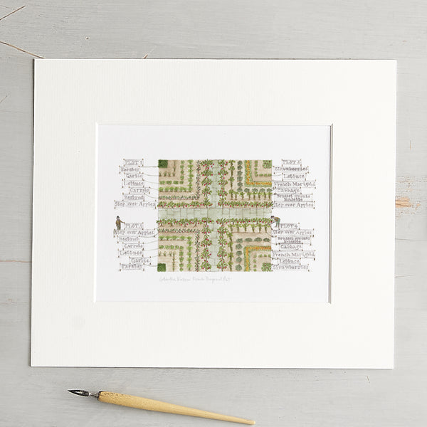 'French Diagonal Plot' Mounted Print