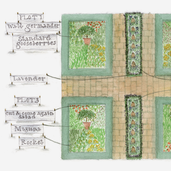 'Traditional Potager' Mounted Print