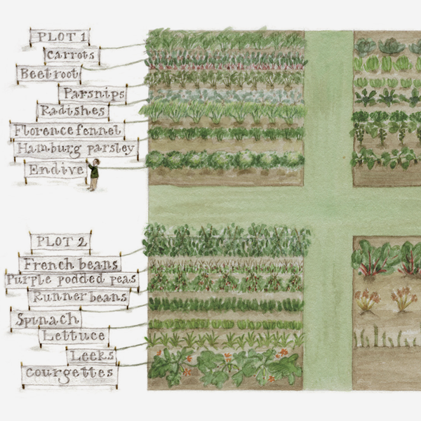 'The Kitchen Garden' Mounted Print